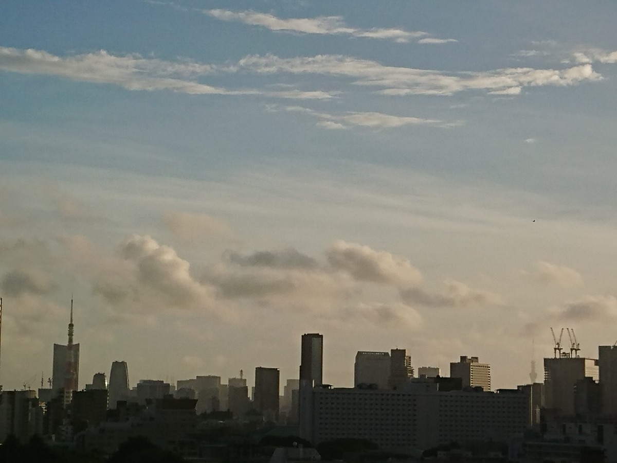 c0100865_05514818.jpg