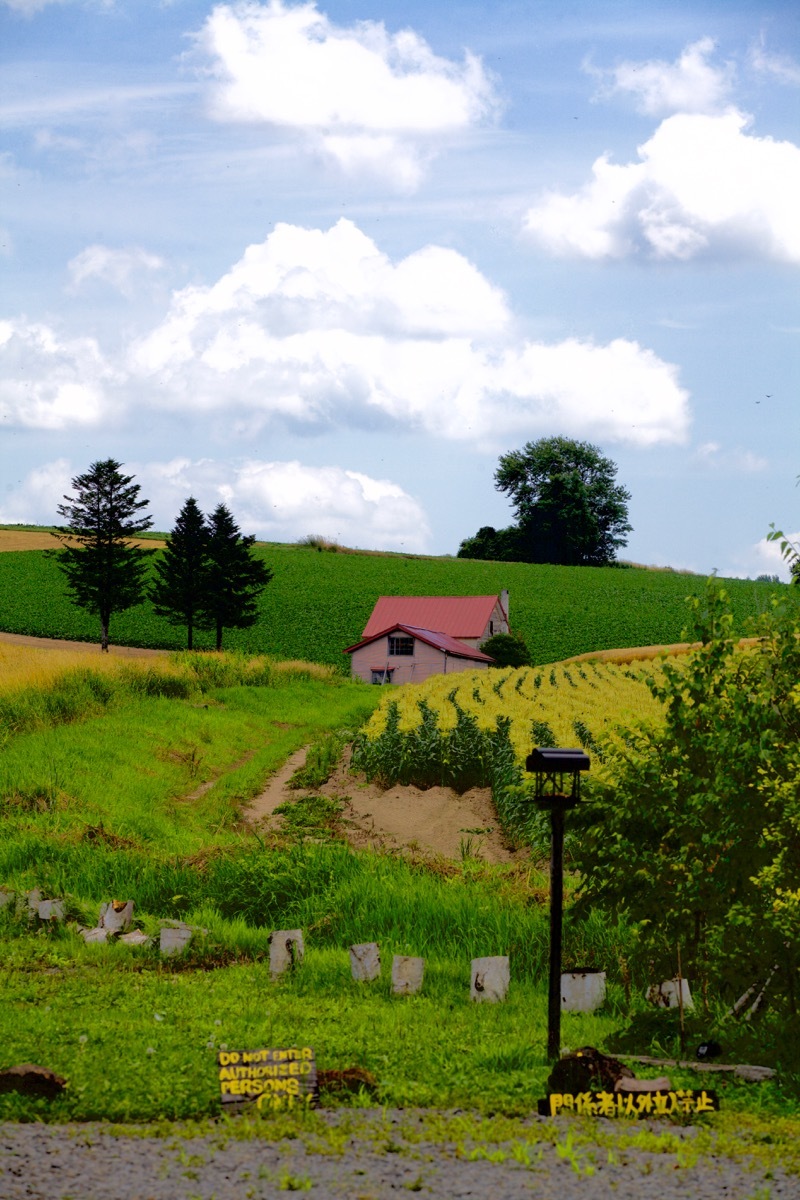 c0163369_12275320.jpg