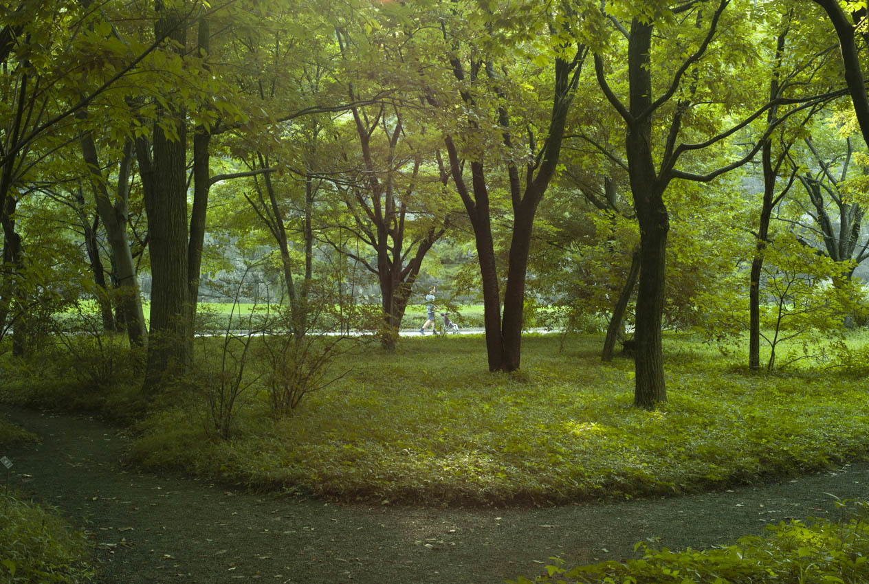 d0172174_17344647.jpg