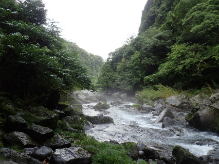 d0182075_08004279.jpg