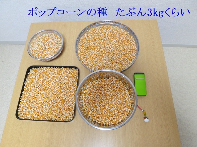 e0363677_20533805.jpg