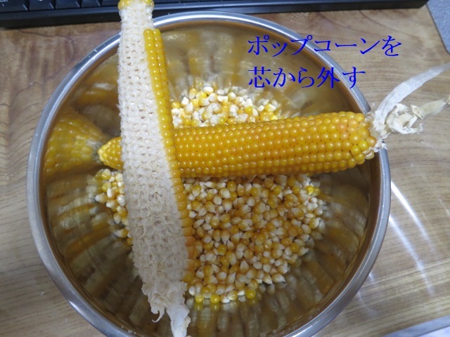 e0363677_20533833.jpg
