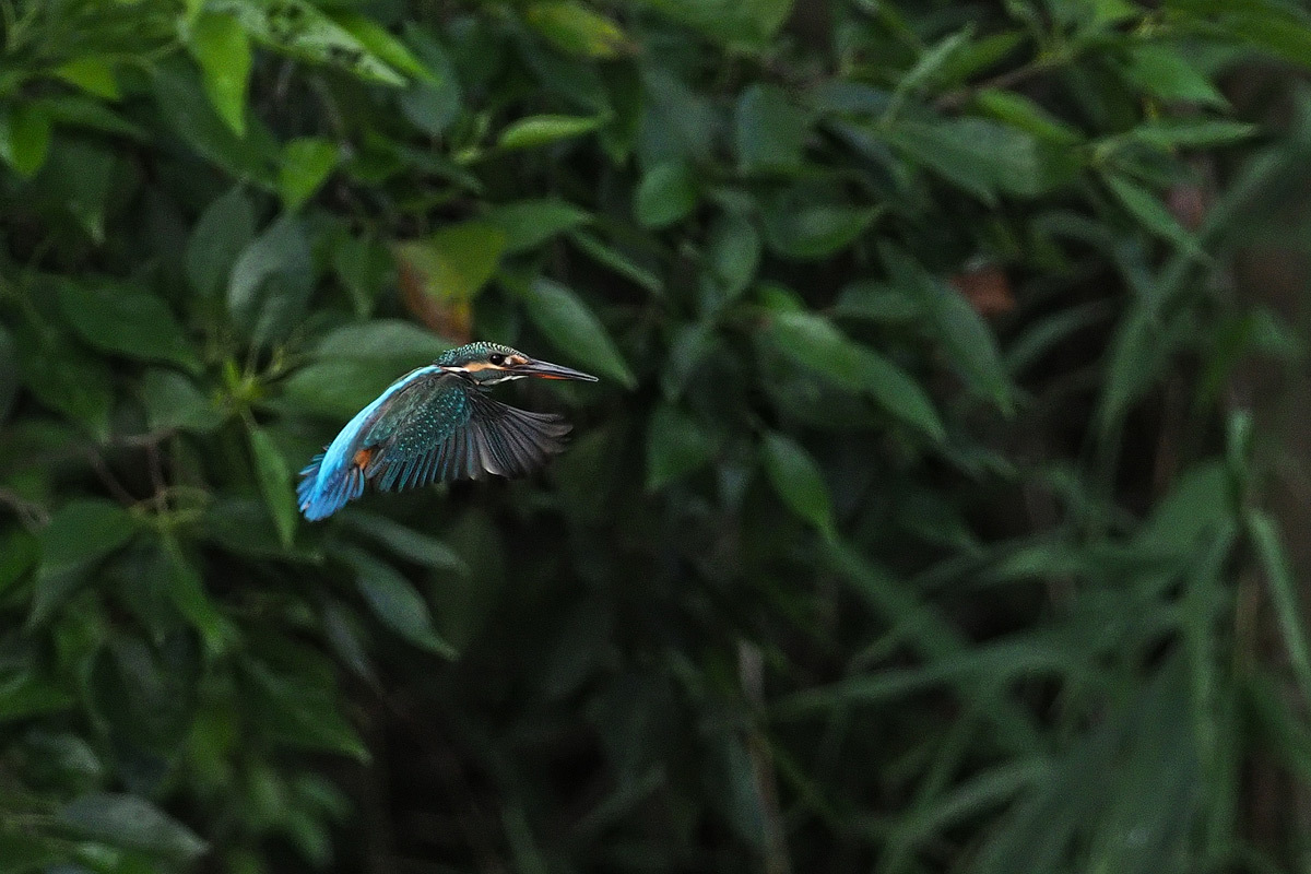 a0035279_23542130.jpg