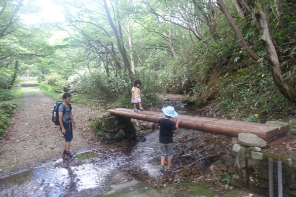 久し振りの山歩き　孫と岡山県立森林公園へ_c0173882_22034139.jpg