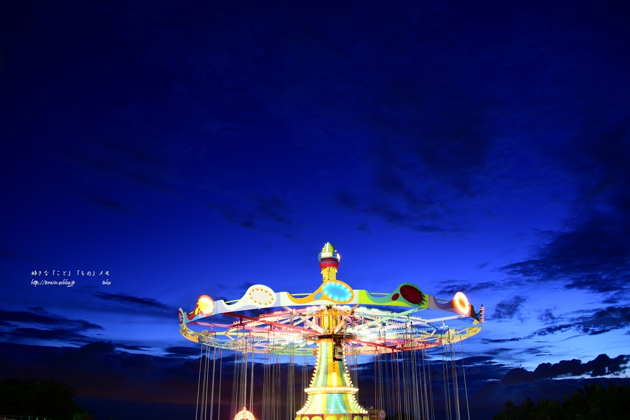 夜の遊園地_d0342382_16422719.jpg