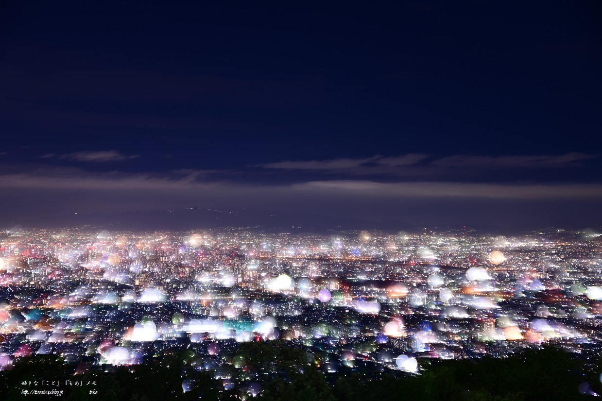 夜の遊園地_d0342382_16424273.jpg