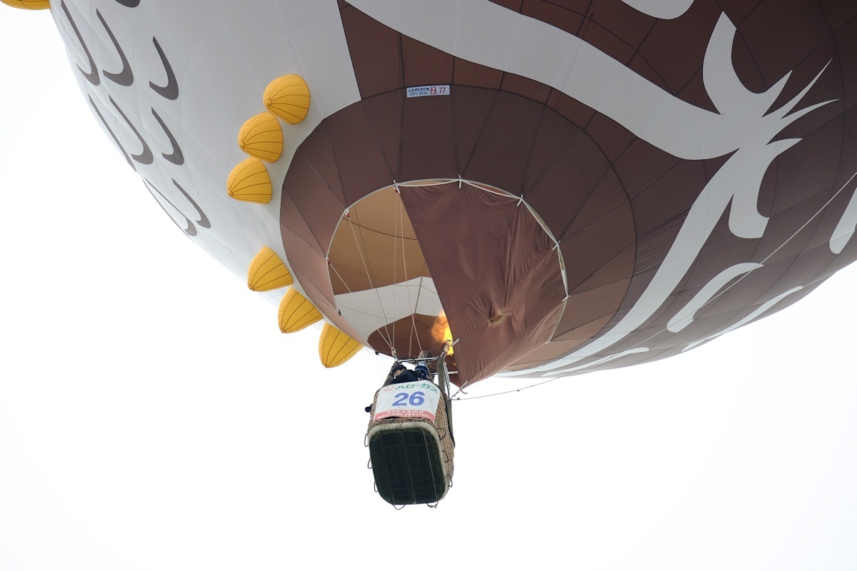 第46回 北海道バルーンフェスティバル~フライイン_e0051186_12241324.jpg