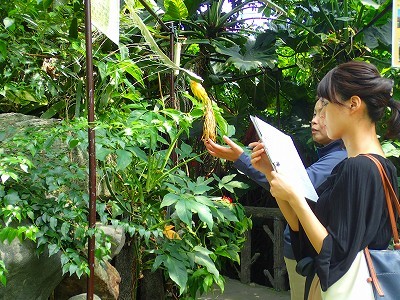 f0203094_15181926.jpg