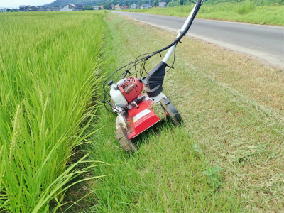 お盆の頃の兼業農家は ①_c0336902_16260637.jpg