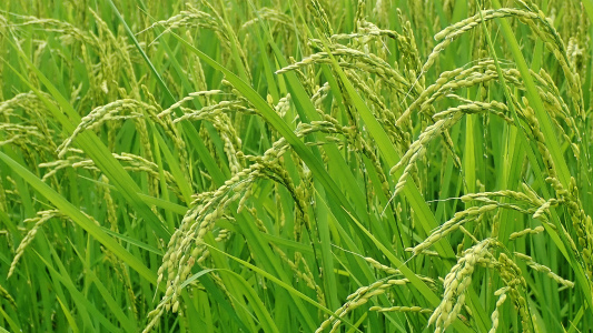 c0336902_18050127.jpg