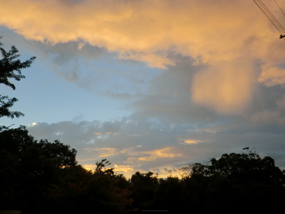 f0173908_12452603.jpg