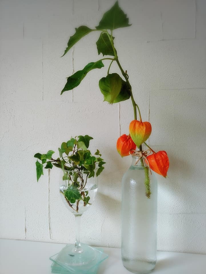 f0276708_18022290.jpg