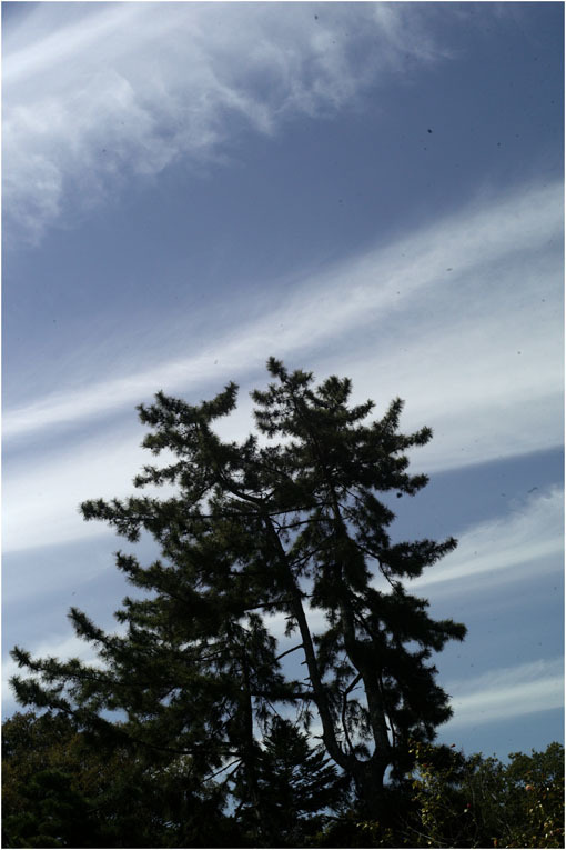 b0226423_21263548.jpg