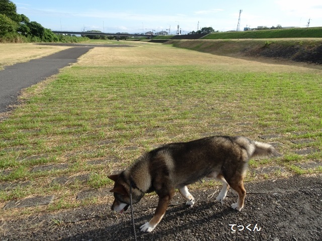 f0143123_20170534.jpg