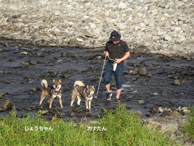 f0143123_20172181.jpg