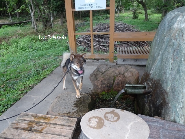 f0143123_20230756.jpg
