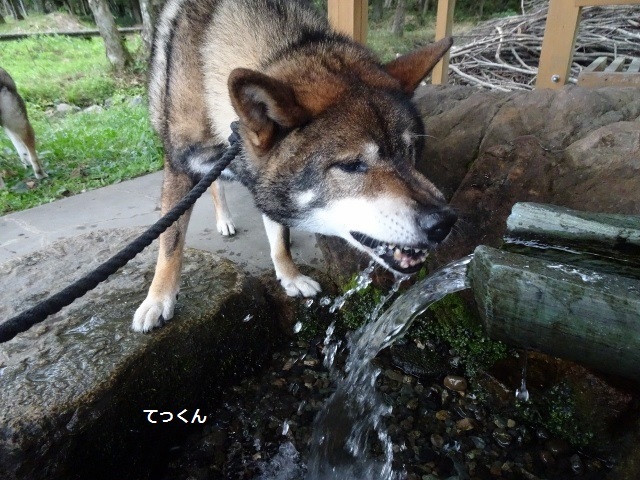 f0143123_20241902.jpg