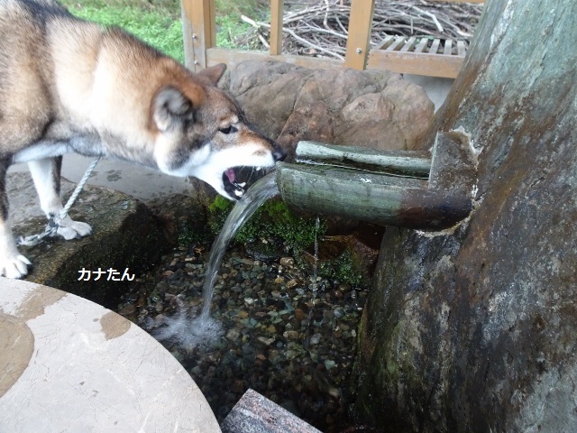 f0143123_20242687.jpg