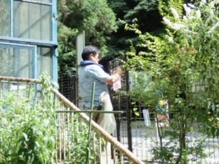 f0177529_21145677.jpeg