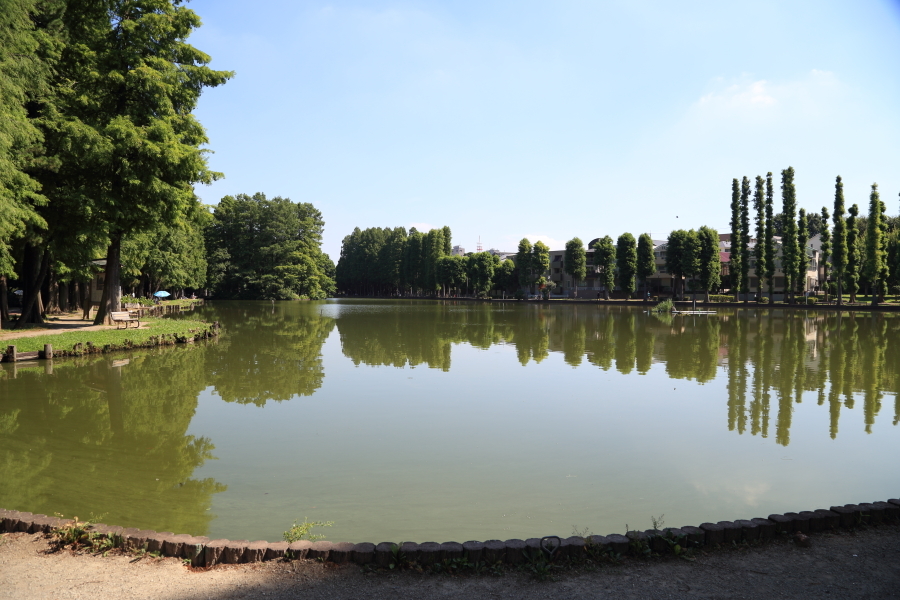 f0229832_08454473.jpg