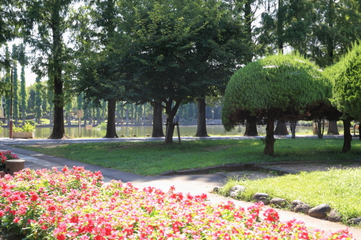 f0229832_08455146.jpg