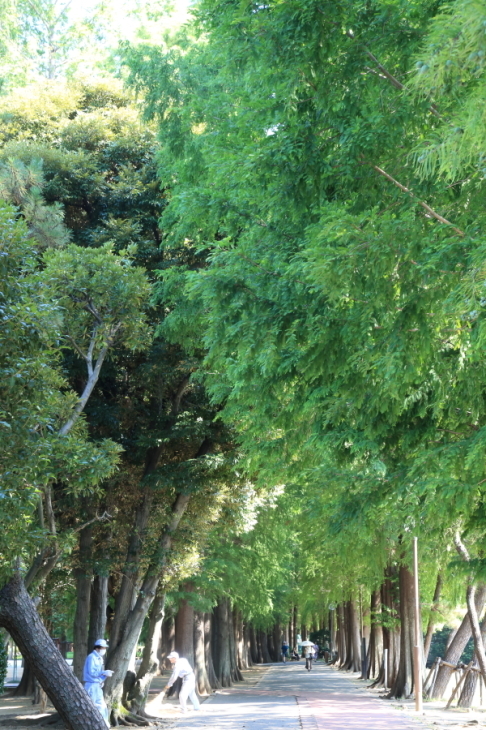f0229832_08461047.jpg