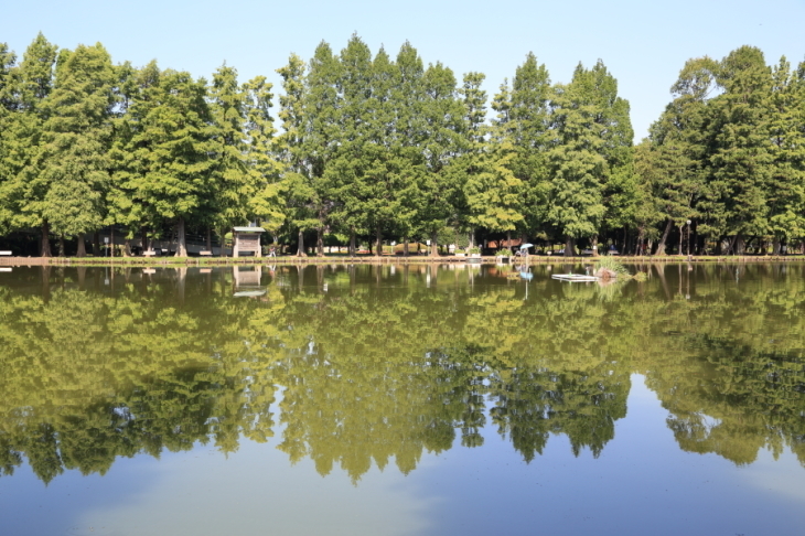 f0229832_08470841.jpg