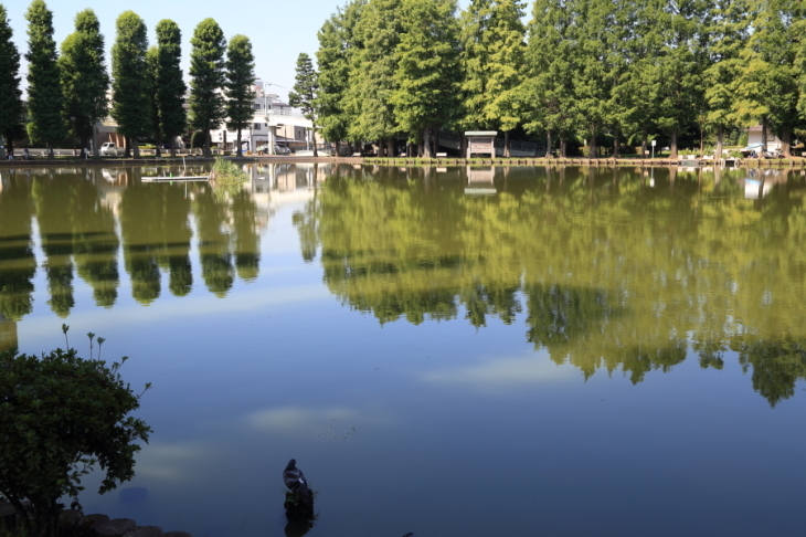 f0229832_08471572.jpg