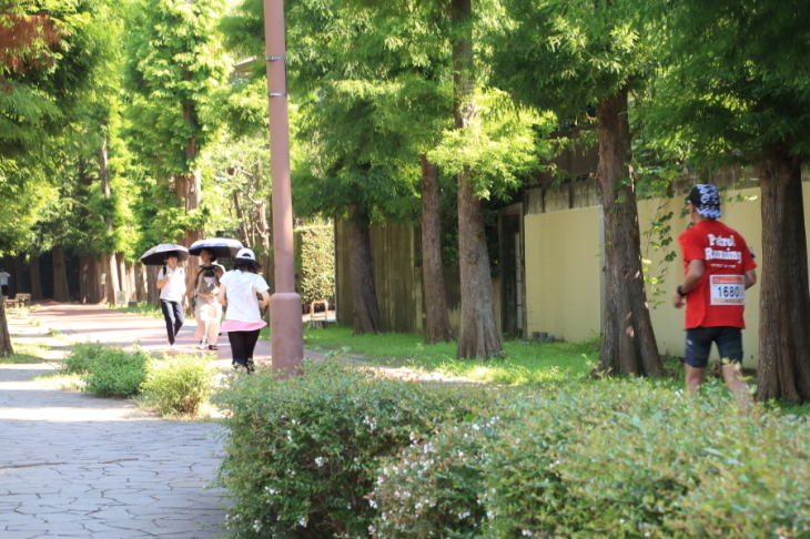 f0229832_08472345.jpg