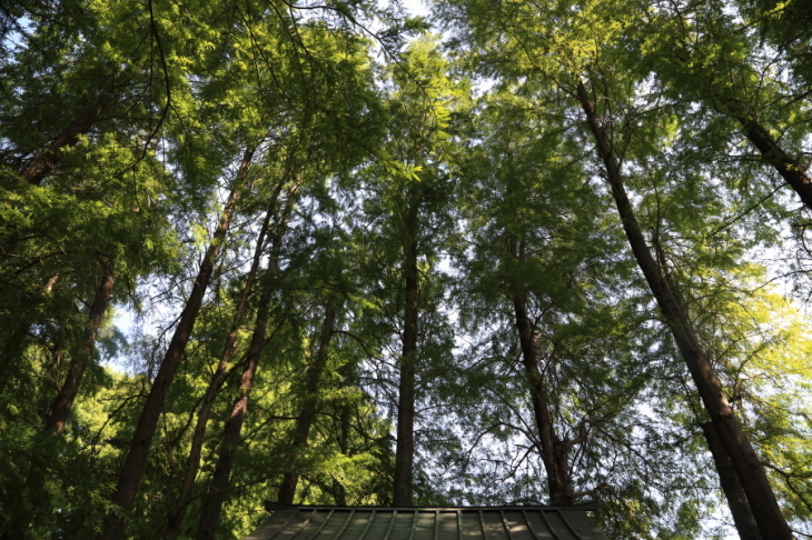 f0229832_08481764.jpg