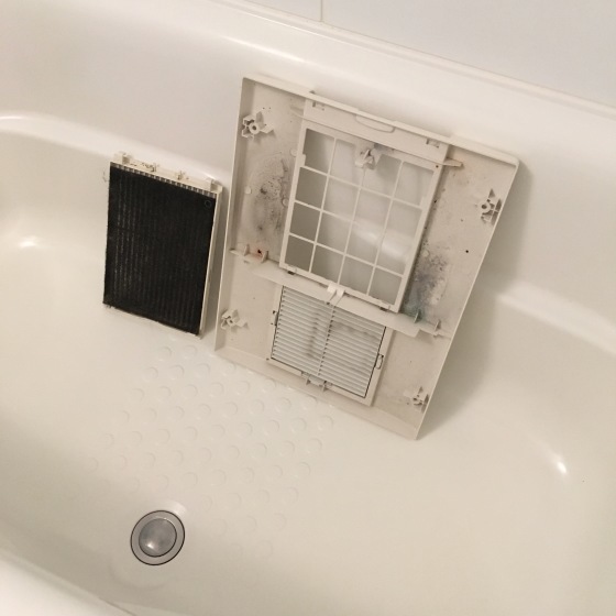 f0068334_13460895.jpeg