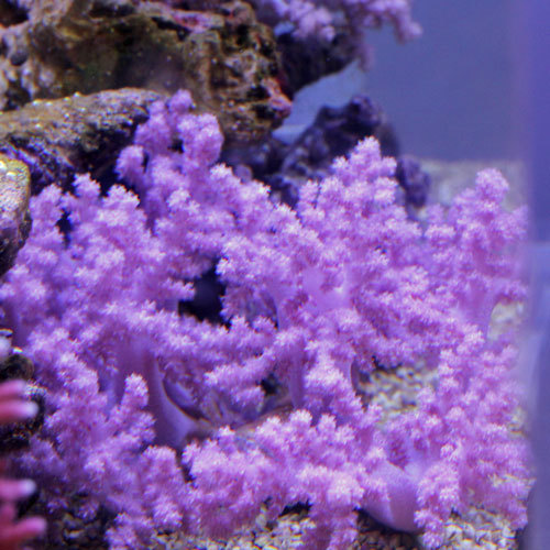 d0221436_21474313.jpg