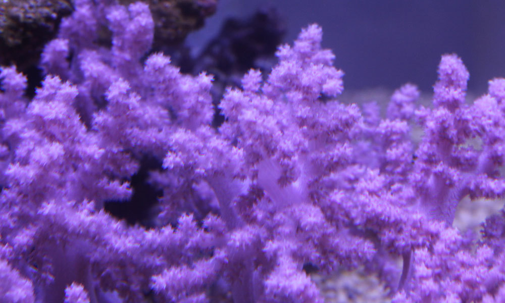 d0221436_21475477.jpg