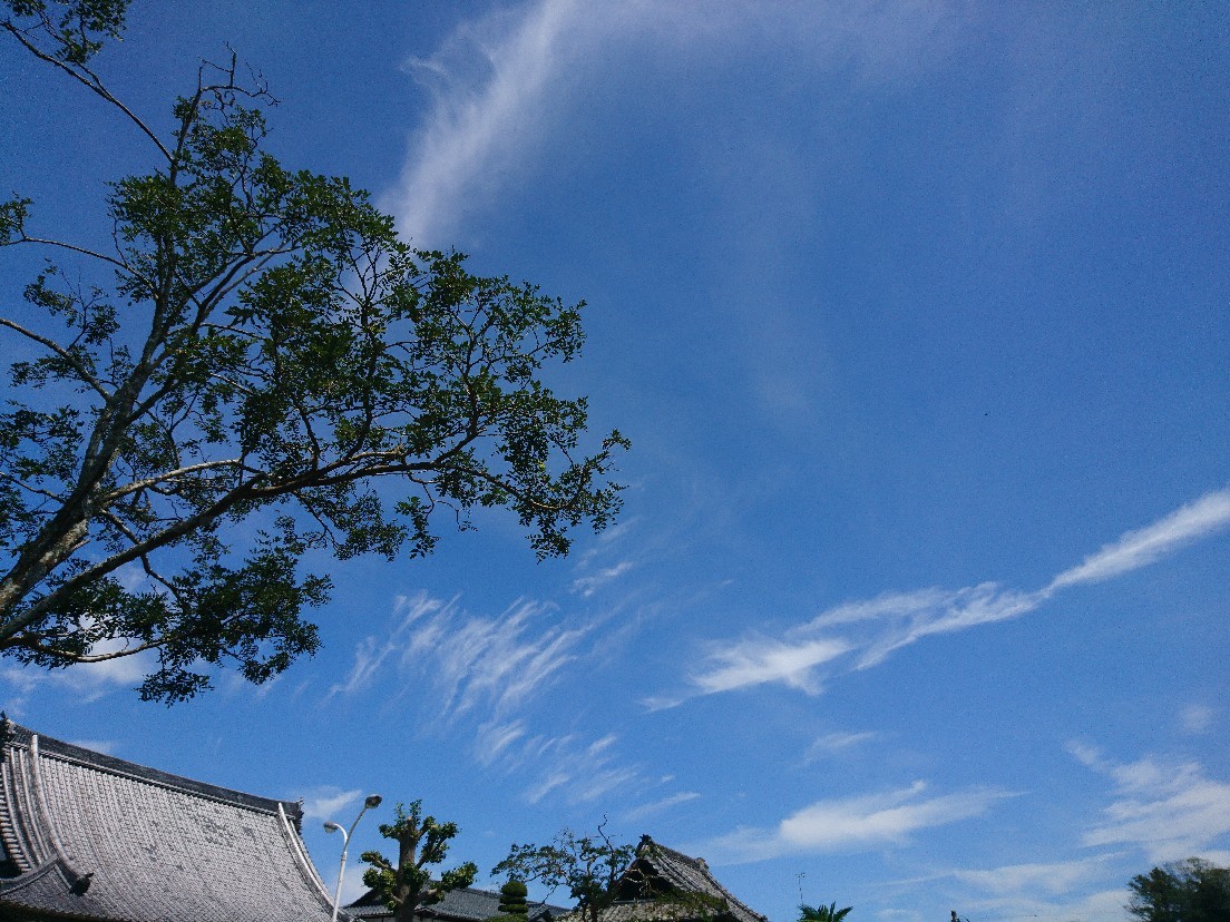 e0263536_18274642.jpg