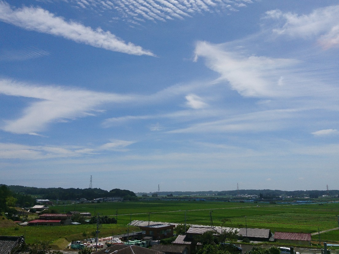 e0263536_18274726.jpg