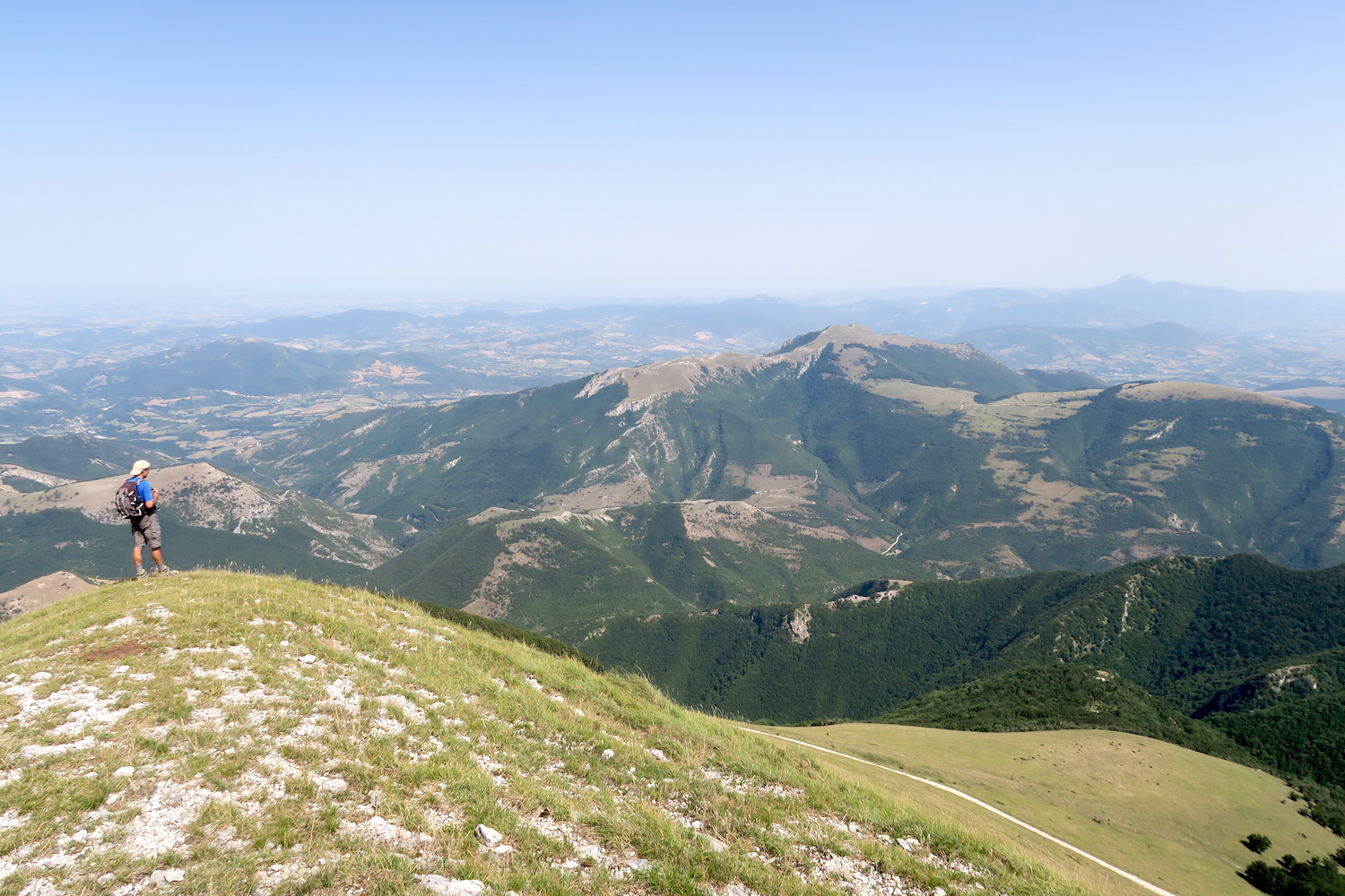 カトリア山と ああ いてよかった_f0234936_632317.jpg