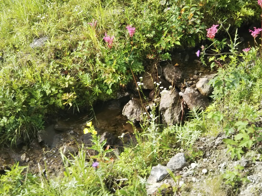 d0378837_10202600.jpg