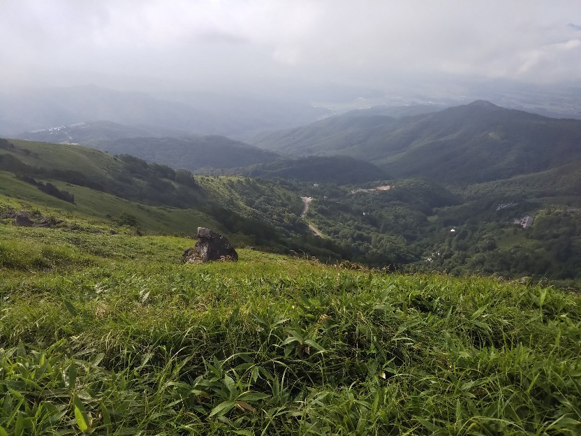 d0378837_10264408.jpg