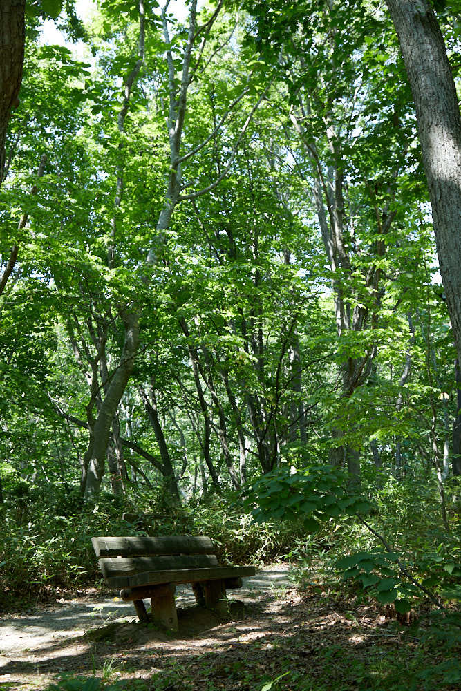 d0139939_18024817.jpg