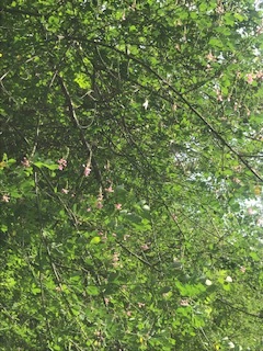 b0132442_08444578.jpg