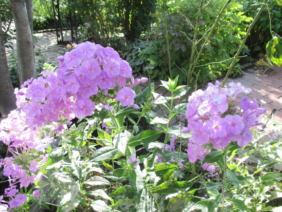 a0279743_13513781.jpg