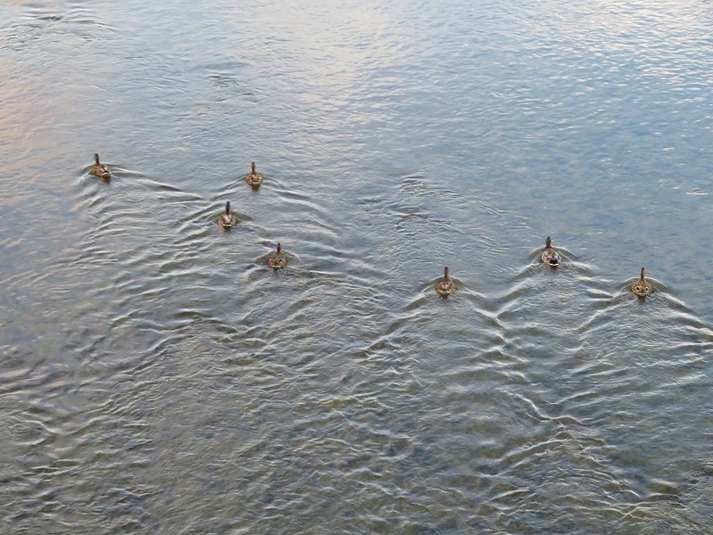 e0237645_18243911.jpg