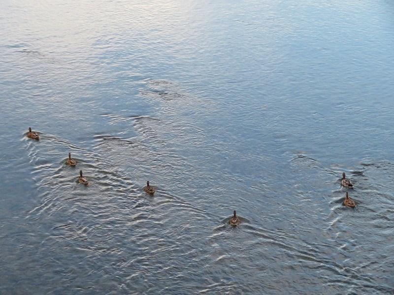e0237645_18243923.jpg