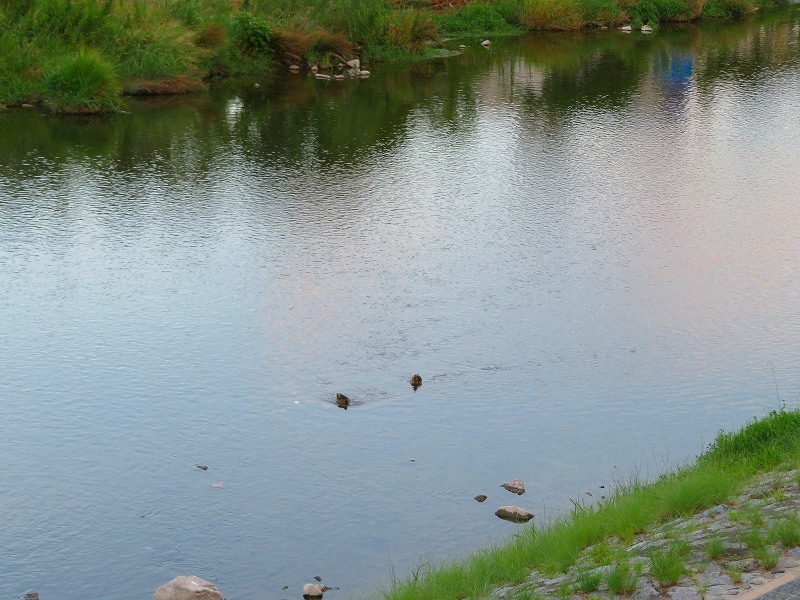 e0237645_18243940.jpg