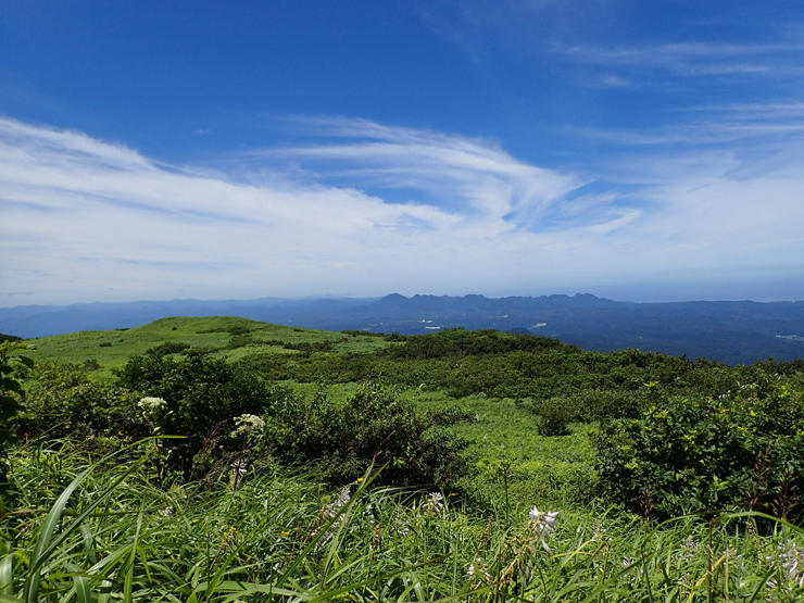 f0214649_04510366.jpg