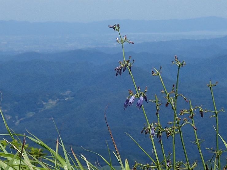 f0214649_04561105.jpg