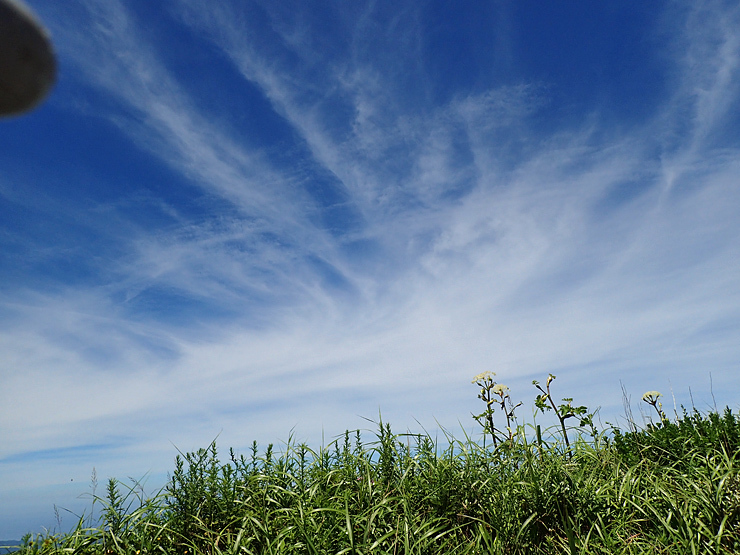 f0214649_05023618.jpg