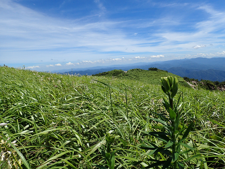 f0214649_05055129.jpg