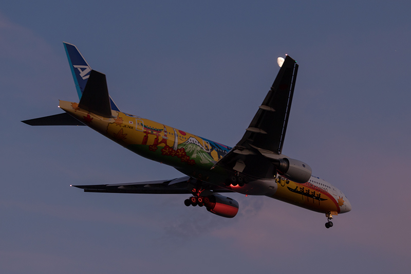 城南島海浜公園の飛行機 今夜もeat It