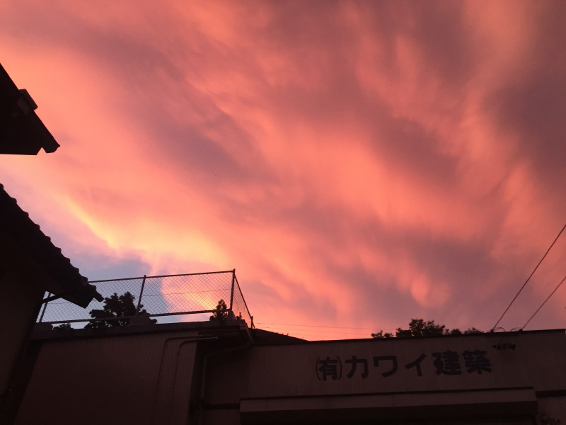 c0074553_15350934.jpg
